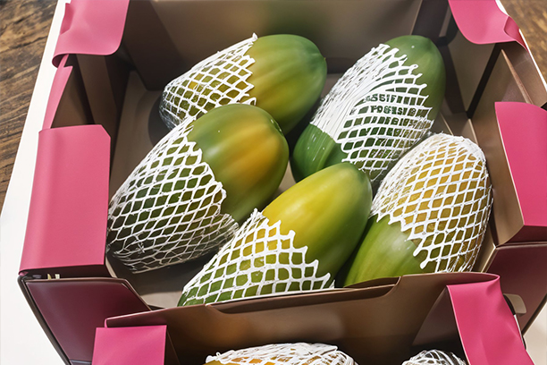 Avocados